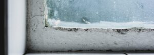 Eliminare muffa dai muri definitivamente con la ventilazione meccanica